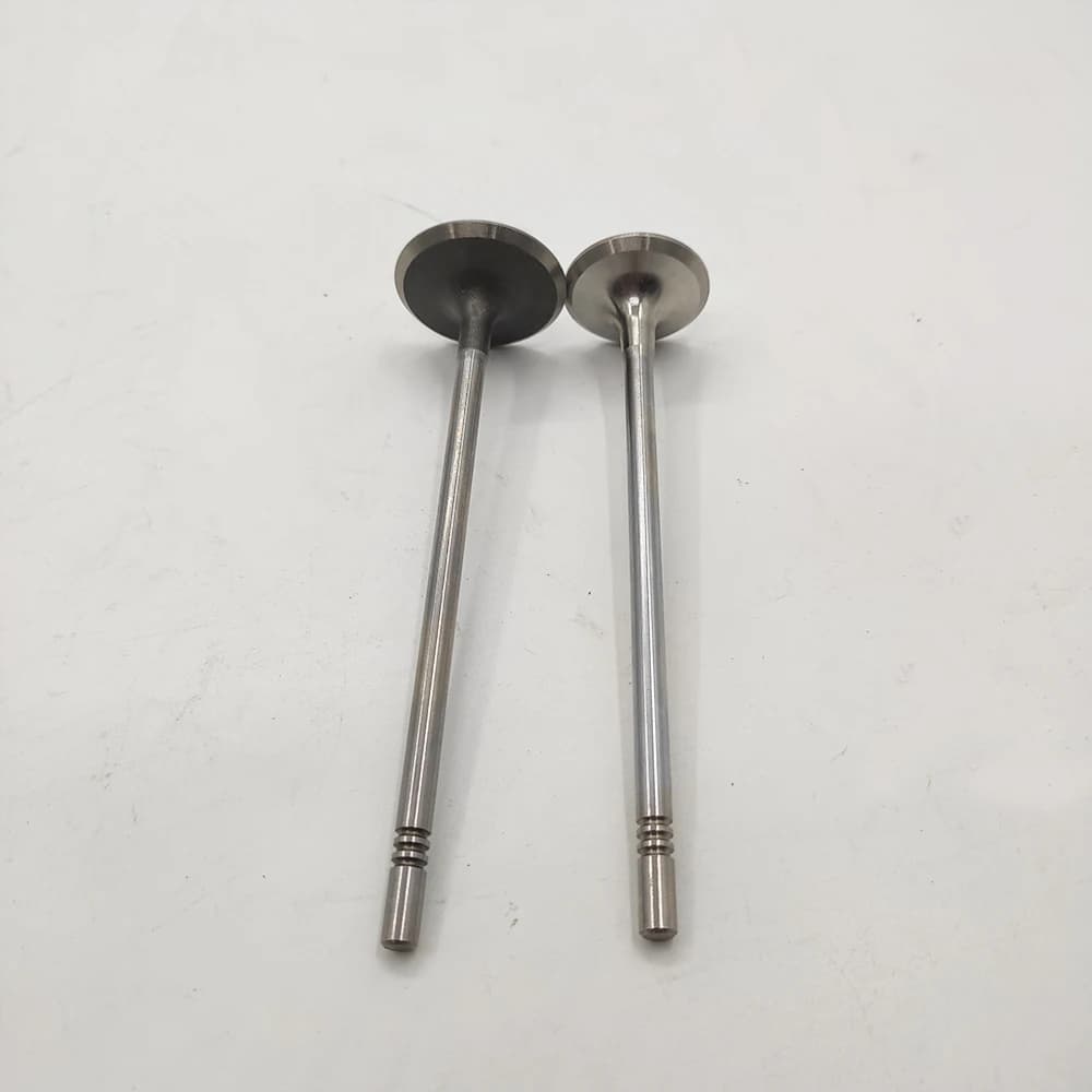 PW812553 PW812609 Engine Exhaust Valve & Intake Valve for Exora Bold Turbo Saga FLX - OEM PW812553, PW812609